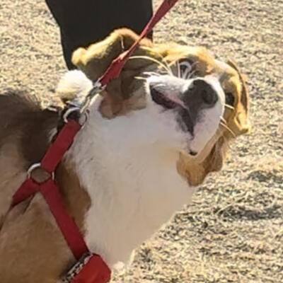 [?]